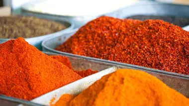 Voitures Bufori, sifflets de sport