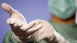 Comment ça marche ? Champignons, gants