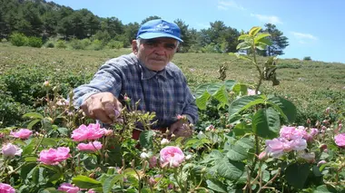 Turkish Delight, Silver Spoons and Sunscreen