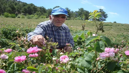 Comment ça marche ? Turkish Delight, Silver Spoons and Sunscreen