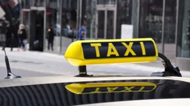 Mou comme une éponge, la connaissance