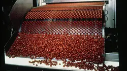 Comment ça marche ? Coffee, Bricks, Lava Lamps, Diamonds