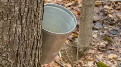 Comment ça marche ? Engrais, art du batik