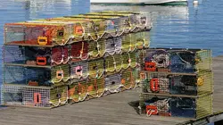 Comment ça marche ? Pêche au homard