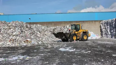 Papier toilette / Absinthe / Balles de cricket