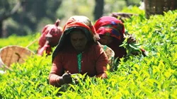 Comment ça marche ? Casques, thé, chauffage général