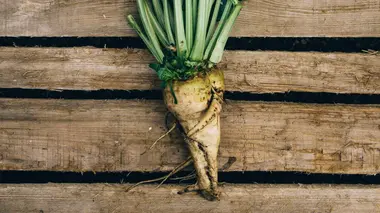 Comment ça marche ?