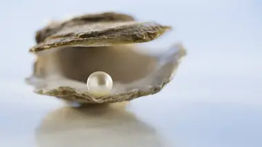 Comment ça marche ?