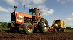 Comment ça marche ? Menthe poivrée, raquettes de tennis