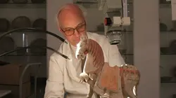 Comment ça marche ? Royal Enfield, faussaires, lait