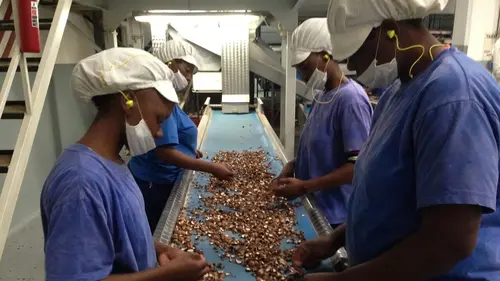 Comment ça marche ? Snails, Cutlery, Kayaks