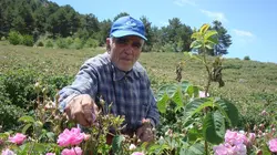 Comment ça marche ? Turkish Delight, Silver Spoons and Sunscreen