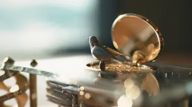 Riz basmati, oiseaux mécaniques