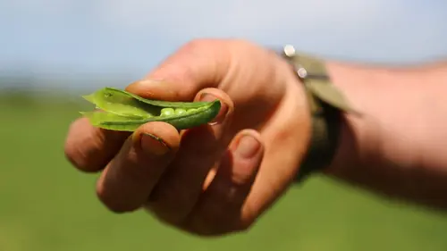 Comment ça marche ?