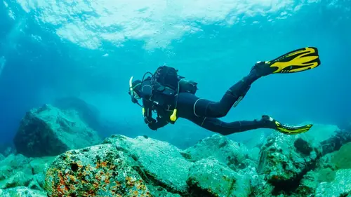 Comment ça marche ? Balsamic Vinegar, Dry Suits and Aerobatic Aircraft