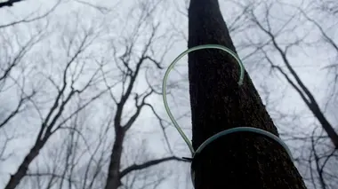 Engrais, art du batik