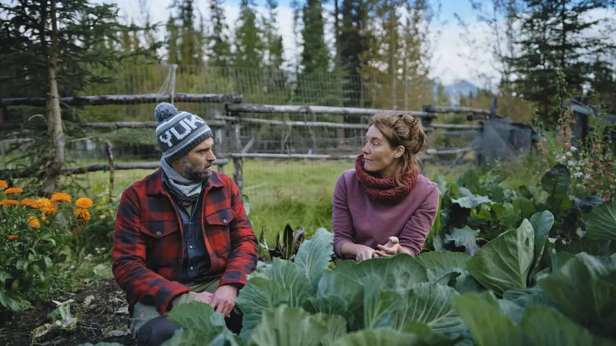Comment ça va le Nord ?