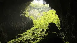 Sur Planète+ à 20h55 : Comment faire pousser une planète ?