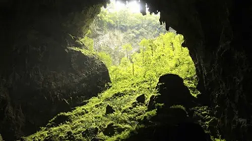 Comment faire pousser une planète ? E01 La lumière