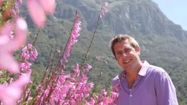 Le pouvoir des fleurs