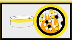 Comment gagner à tous les coups ?