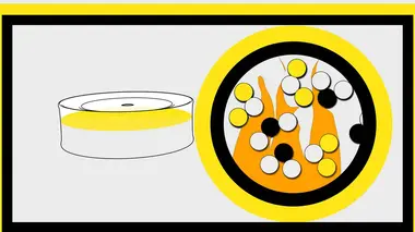 Comment gagner à tous les coups ?