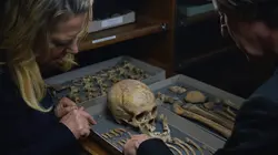 Comment nous avons survécu Une histoire d'adaptation