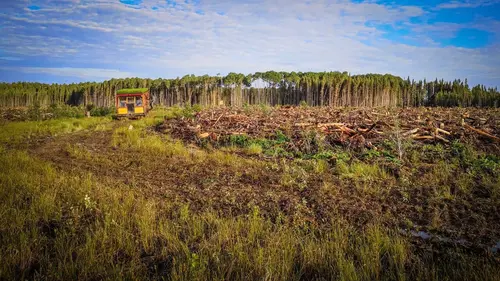 Compagnons d'Arbres Défis de fin de saison