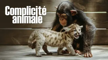 Complicité animale E01 Couples insolites