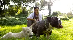 Complicités animales