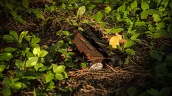 Crime District en direct