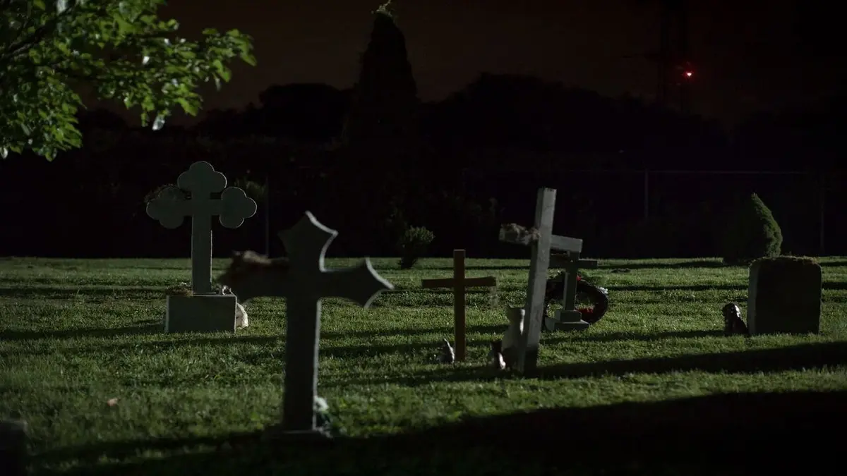 Compte à rebours avant la mort Cimetière pour animaux