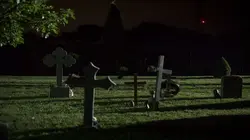 Compte à rebours avant la mort Cimetière pour animaux