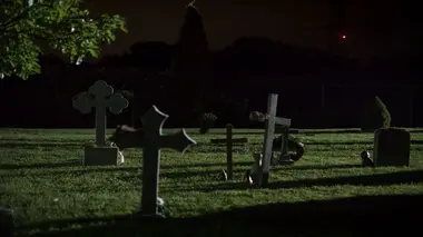 Cimetière pour animaux