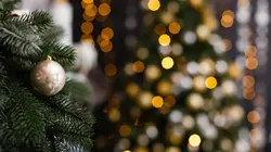 Concert de Noël au Palais Royal