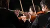 violoniste dans Concert Prélude à la fête nationale