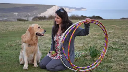 Concours de chiens malins