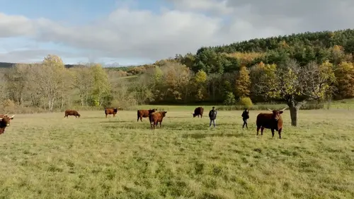 Concours général agricole, de l'or dans nos campagnes