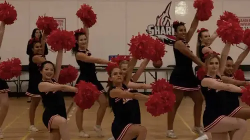 Confessions d'une camgirl