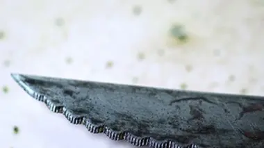 Robert Lopez, le tueur jaloux