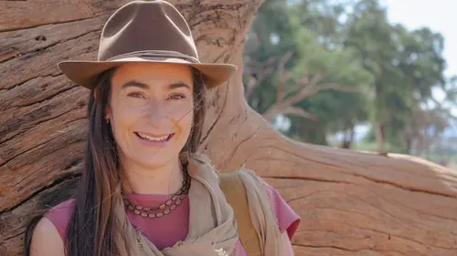 Connexion sauvage Steve et les carcajous