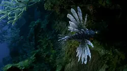 Conquérants