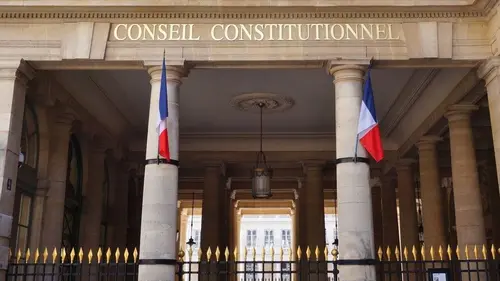Conseil constitutionnel, mode d'emploi