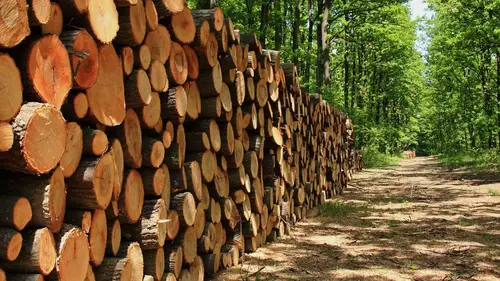 Consomag Choisir son bois de chauffage