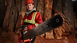 Constructeurs de l'extrême : les artistes