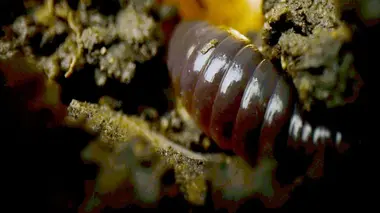 Des paysages fondateurs