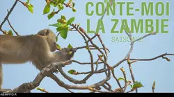 Conte-moi la Zambie