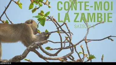 Conte-moi la Zambie S02E03 Les tueurs de la savane