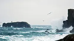 Visuel de Contes des mers