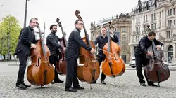 Contrebasses virtuoses ! Avec l'ensemble Bassiona Amorosa